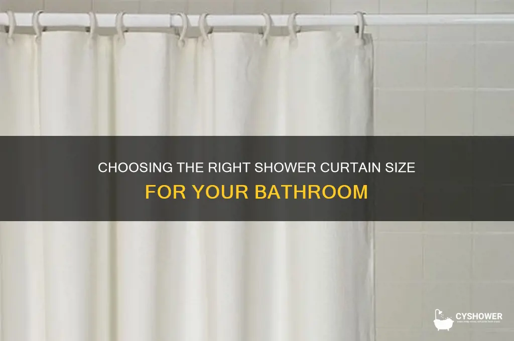 what size shower curtain do i need