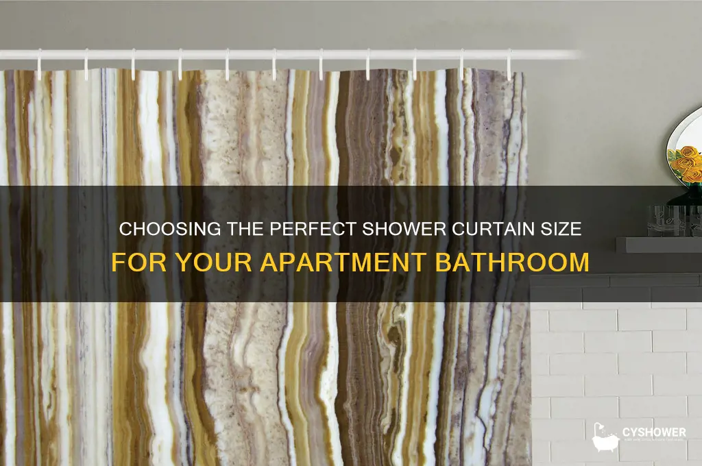 what size shower curtain for apartment