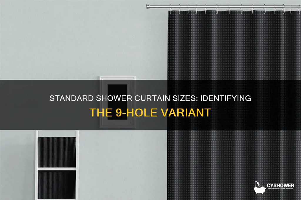 what size shower curtain has 9 holes