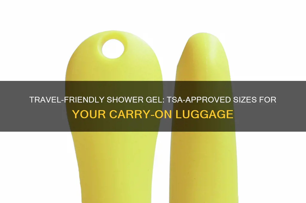 what size shower gel can i take on a plane