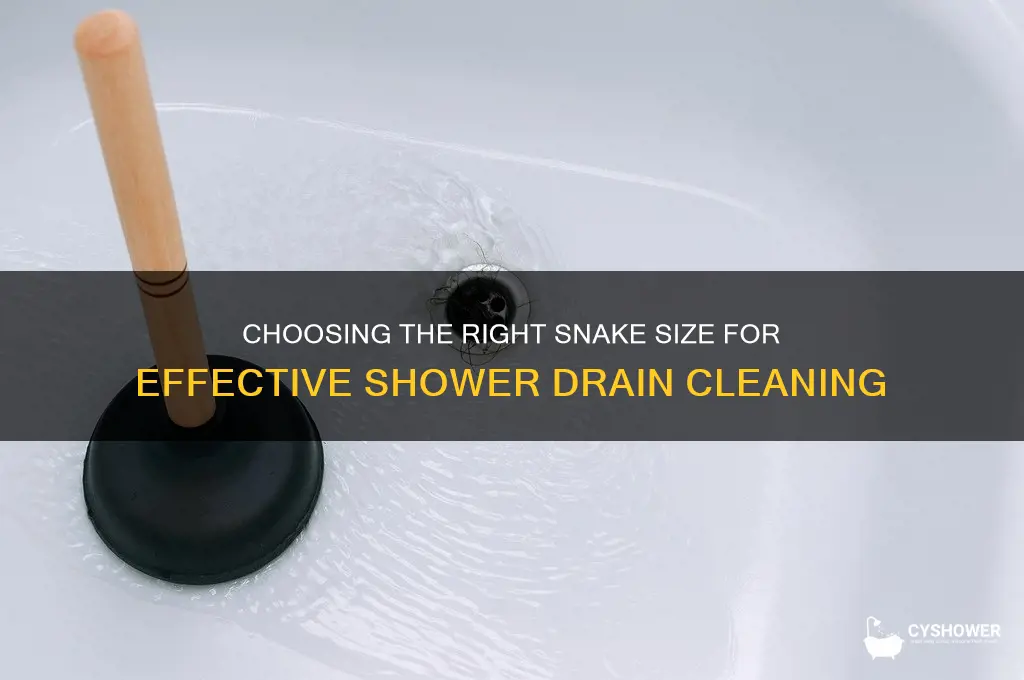 what size snake for shower drain