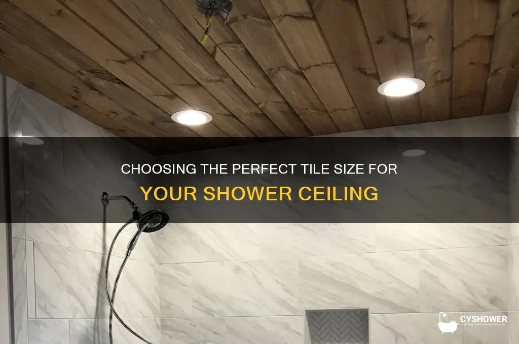 what size tile for shower ceiling