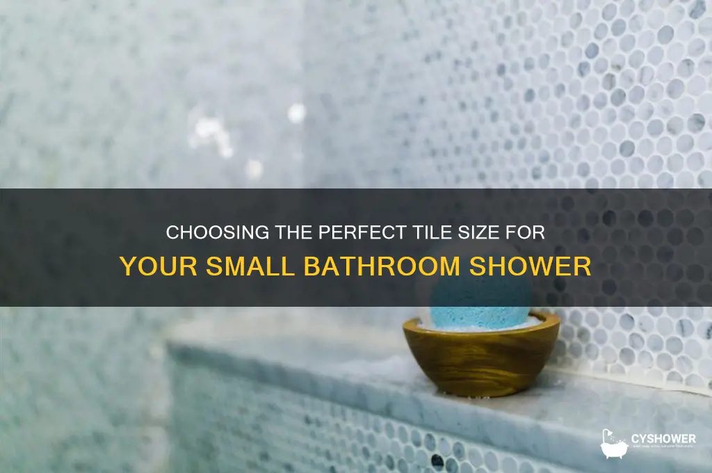 what size tile for small bathroom shower
