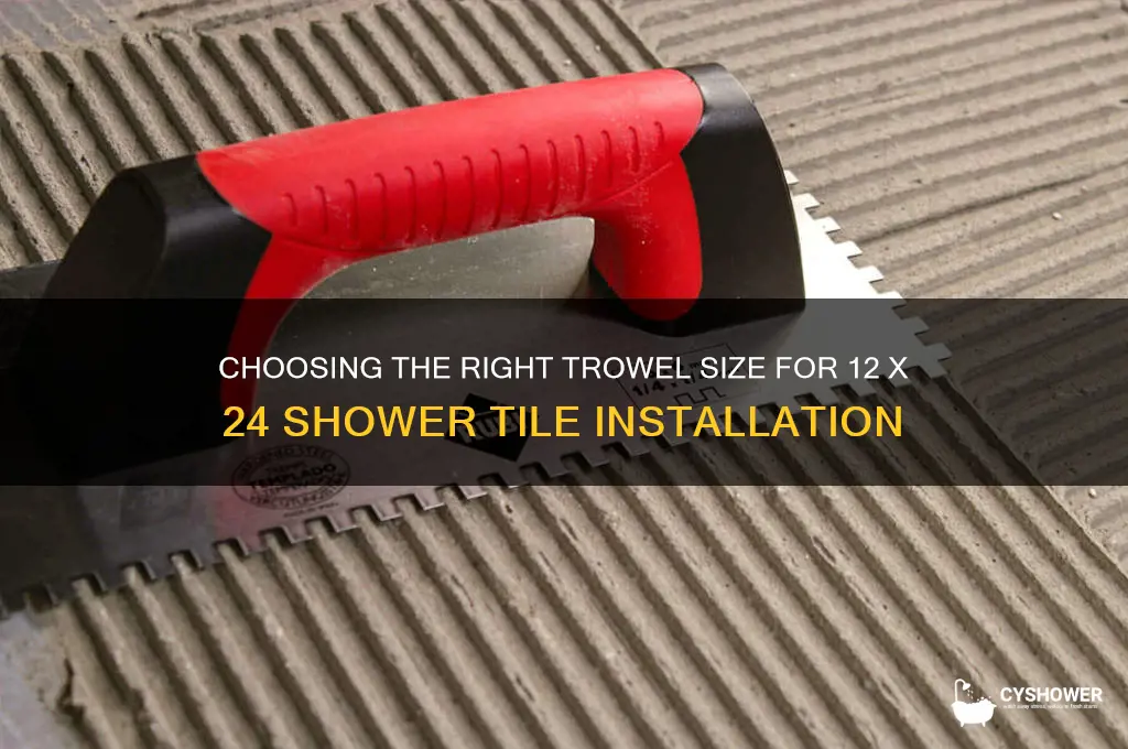 what size trowel for 12 x 24 shower tiles