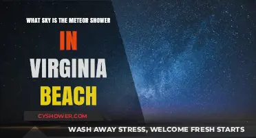 Virginia Beach Meteor Shower: Which Night Sky to Watch