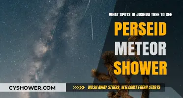 Best Joshua Tree Spots for Perseid Meteor Shower Viewing