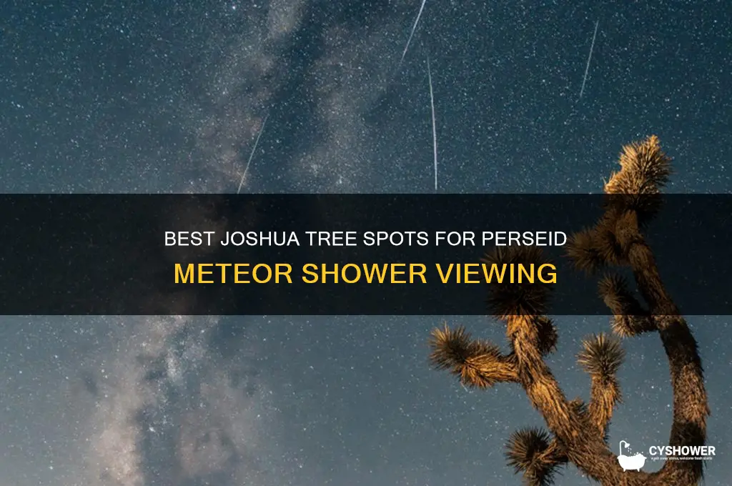 what spots in joshua tree to see perseid meteor shower