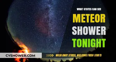 Tonight's Meteor Shower: Which States Offer the Best Views?