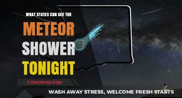 Meteor Shower Tonight: Which States Offer the Best Viewing?