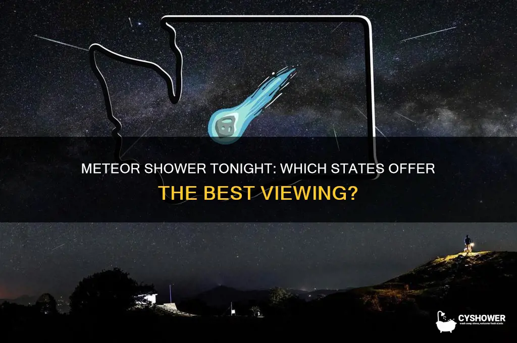 what states can see the meteor shower tonight