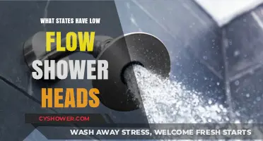 States Embracing Water Conservation: Where Low-Flow Shower Heads Are Standard