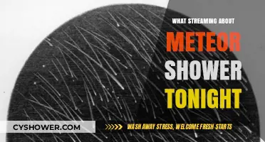 Tonight's Meteor Shower: How and Where to Stream the Celestial Show