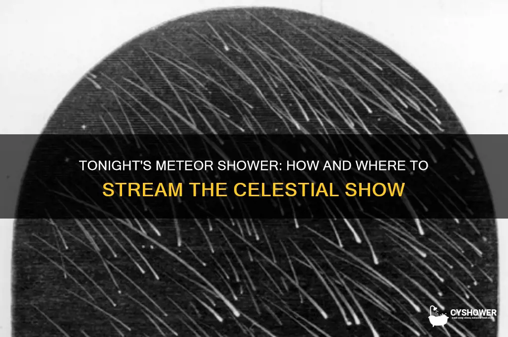 what streaming about meteor shower tonight
