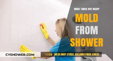 Effective Ways to Remove Heavy Mold from Your Shower