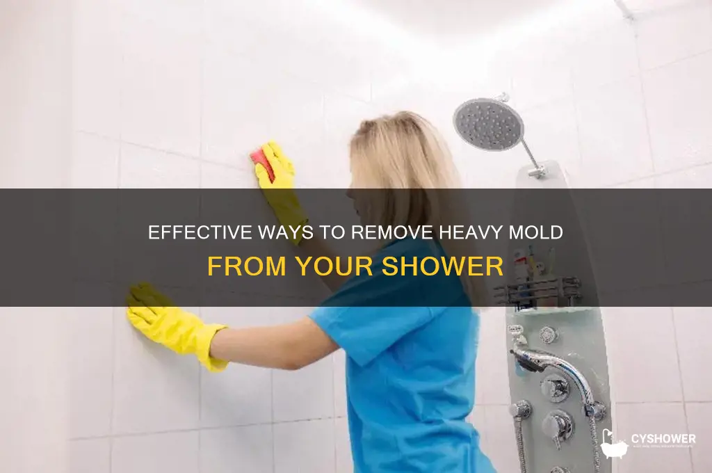 what takes out heavy mold from shower