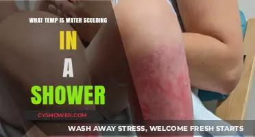 Shower Water Temperature: When Does It Become Scalding Hot?