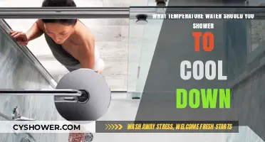 Cool Down Fast: Optimal Shower Temperature for Instant Refreshment