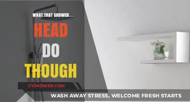 What That Shower Head Do? Unveiling Its Surprising Features and Benefits