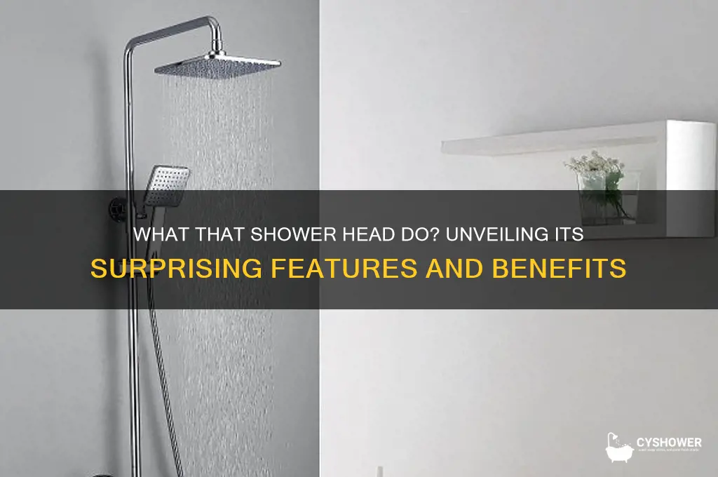 what that shower head do though