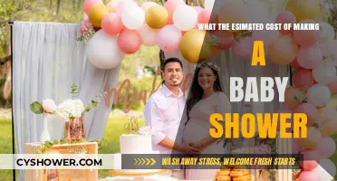 Planning a Baby Shower: Estimating the Costs Involved