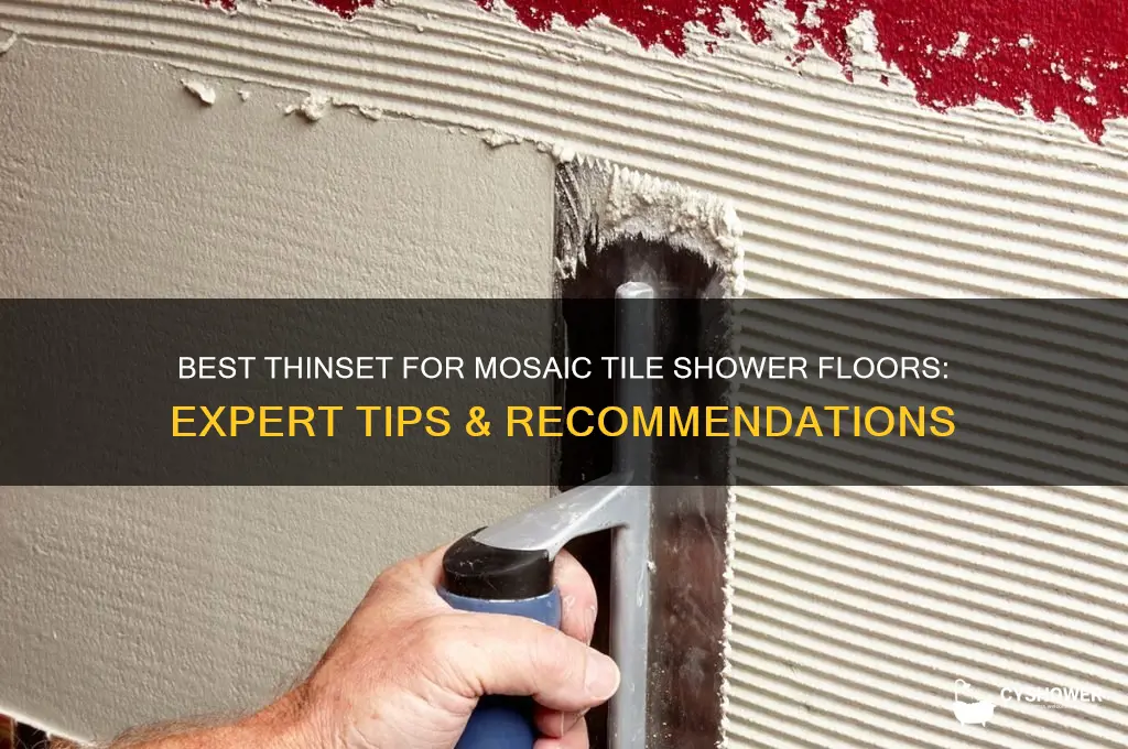 what thinset for mozaic tile on shower floor