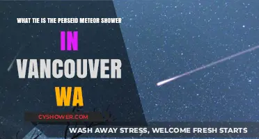 Vancouver WA's Perseid Meteor Shower: A Celestial Tie to August Skies