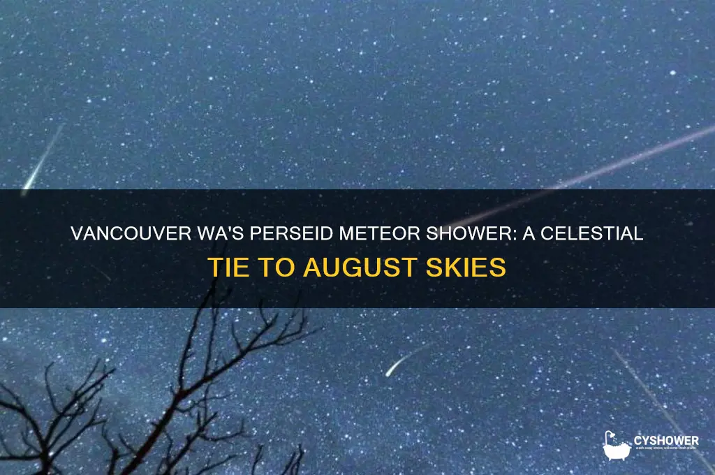 what tie is the perseid meteor shower in vancouver wa