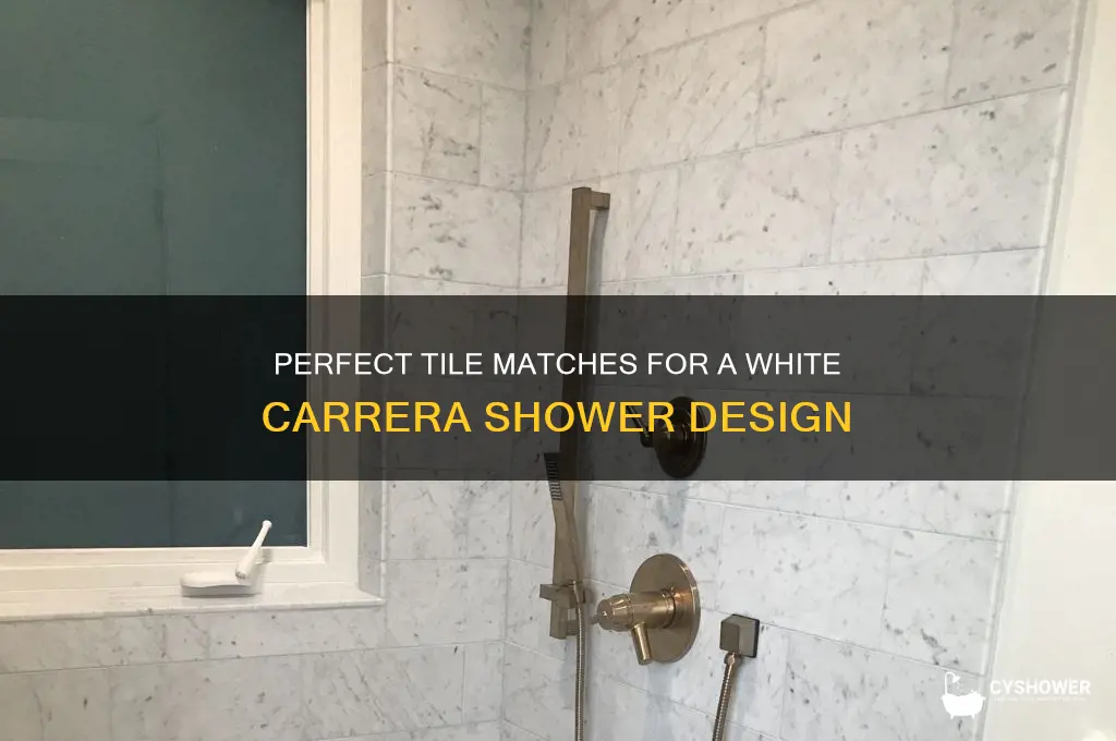 what tile goes with white carerra shower