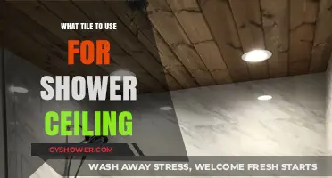 Best Shower Ceiling Tiles: Waterproof, Durable, and Stylish Options