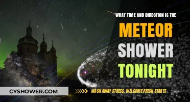 Tonight's Meteor Shower: Best Viewing Time and Direction Guide
