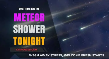 Tonight's Meteor Shower: Best Time to Watch the Celestial Show