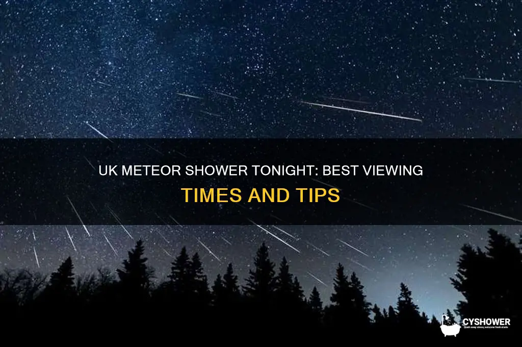 what time can i see meteor shower tonight uk