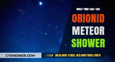 Best Time to Watch Orionid Meteor Shower This Year