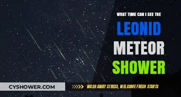 Best Time to Watch the Leonid Meteor Shower This Year
