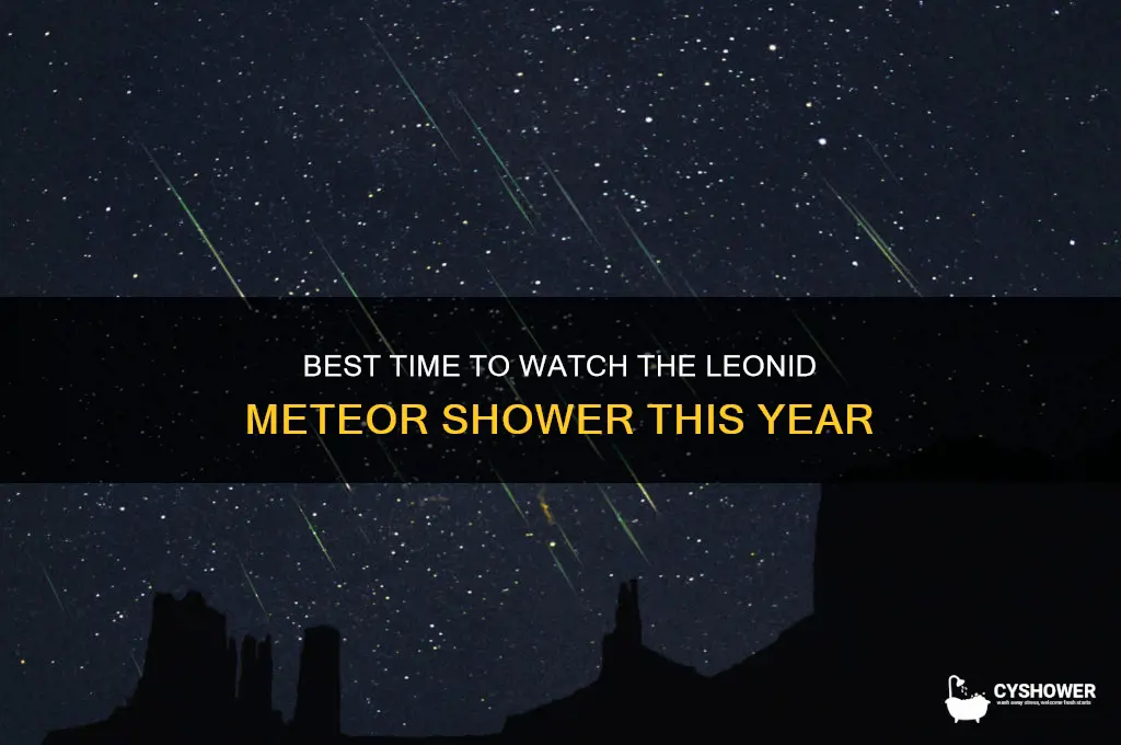 what time can i see the leonid meteor shower