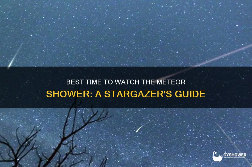 what time can i watch the meteor shower