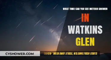Watkins Glen Meteor Shower Viewing Time: When and Where to Watch
