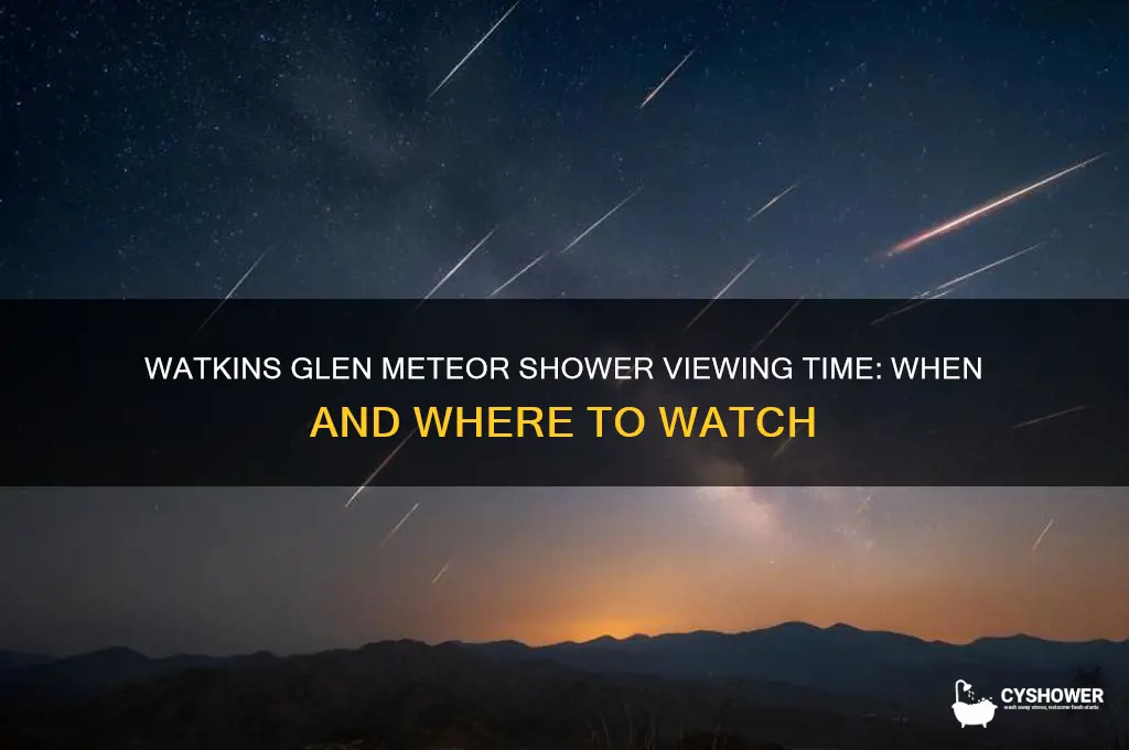 what time can you see meteor shower in watkins glen