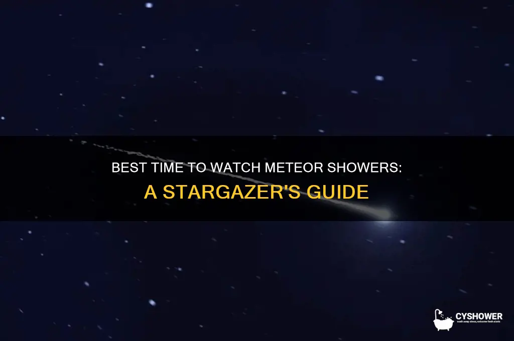 what time can you see meteor shower