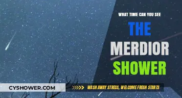 Best Time to Watch the Mesmerizing Meteor Shower This Year