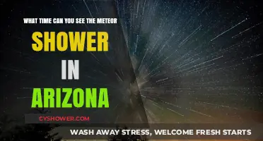Arizona's Meteor Shower: Best Viewing Times and Tips for 2023