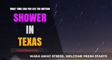 Texas Meteor Shower Viewing Times: When and Where to Watch