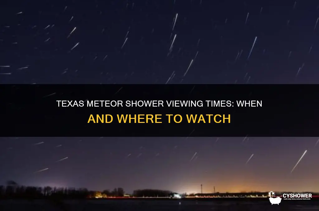 what time can you see the meteor shower in texas