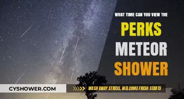 Best Time to Watch the Perks Meteor Shower: A Guide