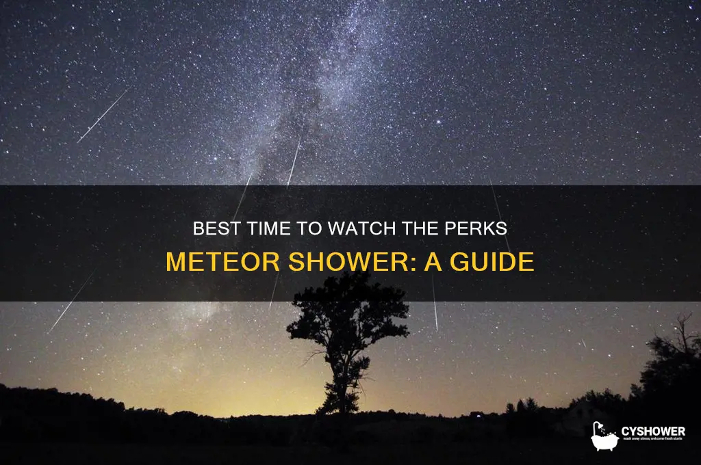 what time can you view the perks meteor shower