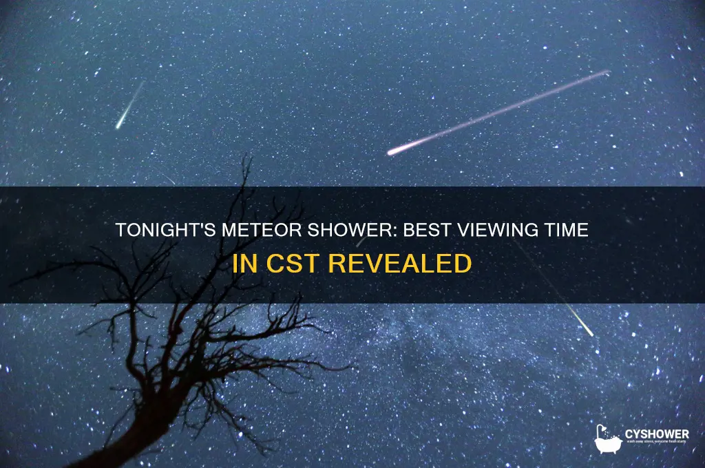 what time cst will the meteor shower tonight