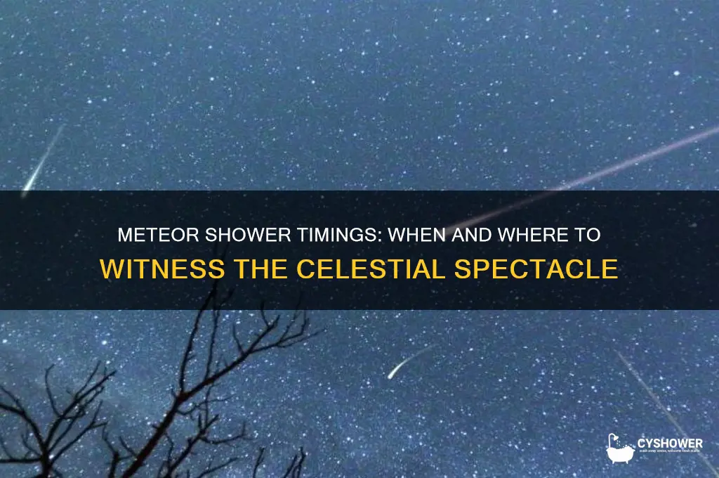 what time did meteor shower happen over