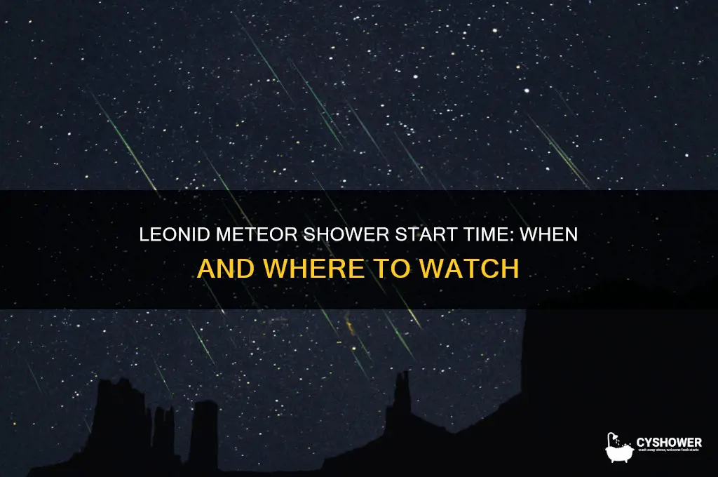 what time does leonid meteor shower start