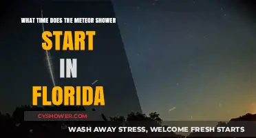Florida's Meteor Shower Start Time: When and Where to Watch