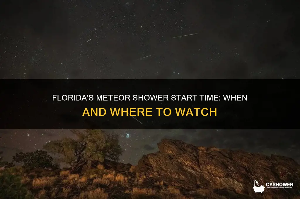 what time does the meteor shower start in florida
